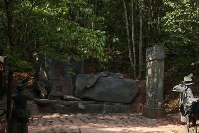 当千年茶马古道成为年轻人的治愈坐标 | 有一种叫云南的生活
