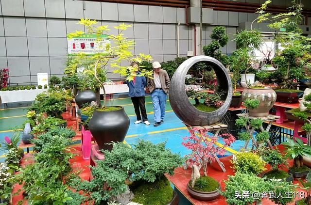 奔向雪域高原，滇藏行一:从钦州到昆明，再到楚雄