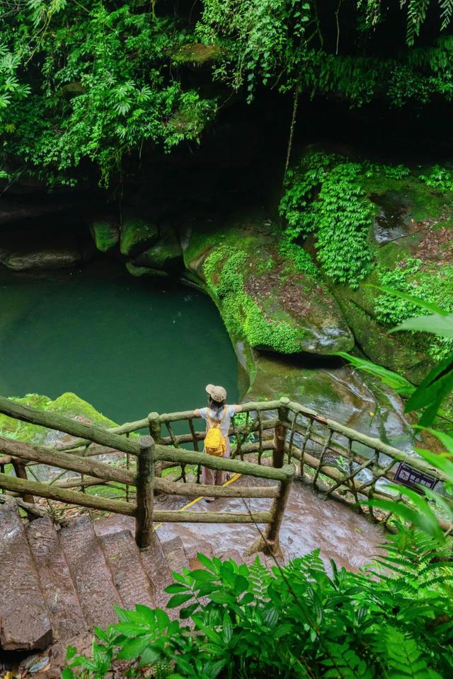 逃离高温！成都2H躲进峡谷避暑地，徒步森林瀑布、探秘野生动物！超萌奖牌周末就冲！