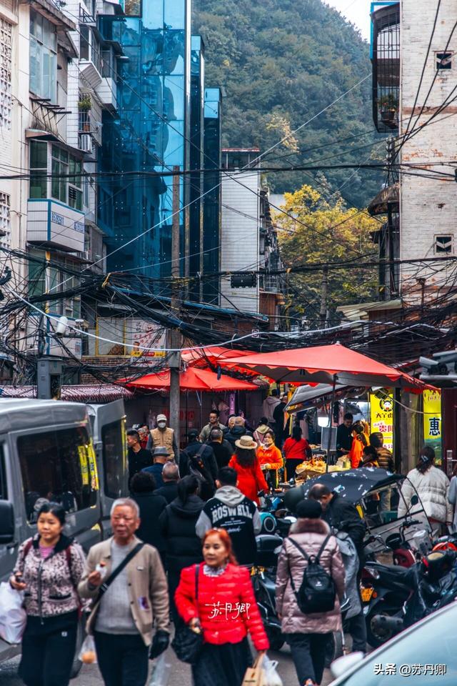 为了一只猴子！我从武汉跑去了贵阳！黔灵山的魅力不止是有猴子