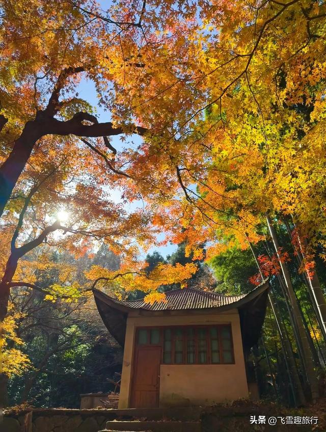 从杭州出发，一小时左右车程，五个风格各异的绝佳赏秋地
