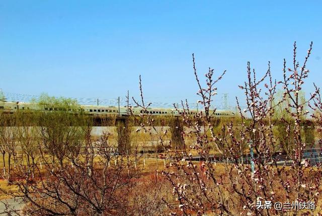 铁道风景线 | 黑河映铁骨，四季见风华