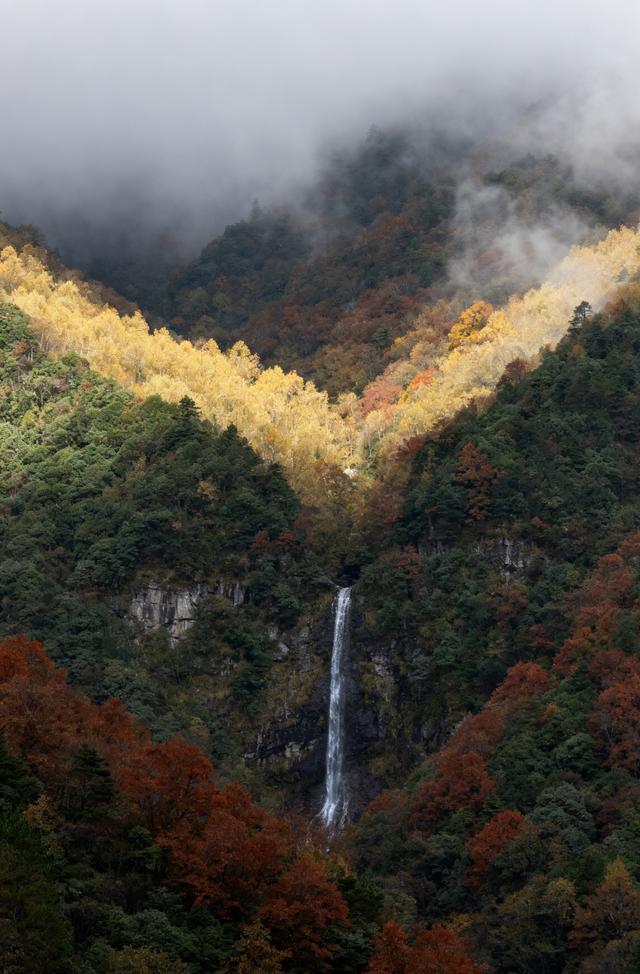 雾锁摩天岭：山与云的共生诗