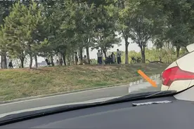 教训：不经常开车的人，还是不要买车，有车真是遭罪受啊图片