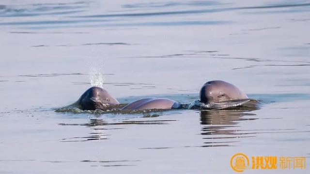 南昌玩疯了！赣江变 “海” 吸 200 万人，治水治出顶流