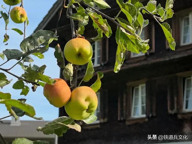 瑞士龙疆小镇【原创】:原铁十师:陶玉和