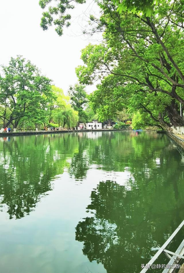 拥抱春天的绿水青山