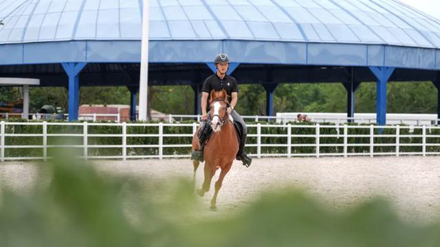 鹅湖观察:小镇身段背后的“大道突围”