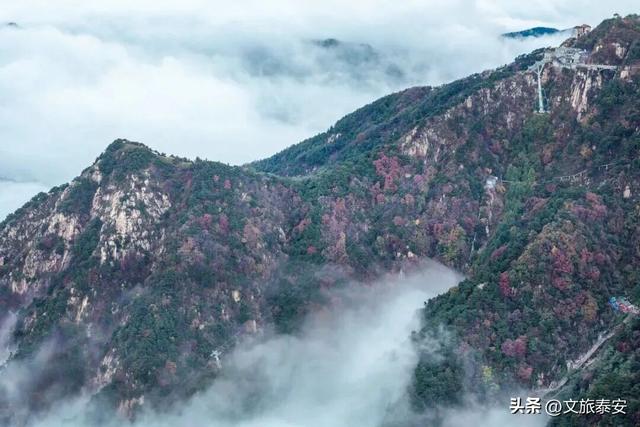 千万别在秋天来泰安，不然真的很难戒断