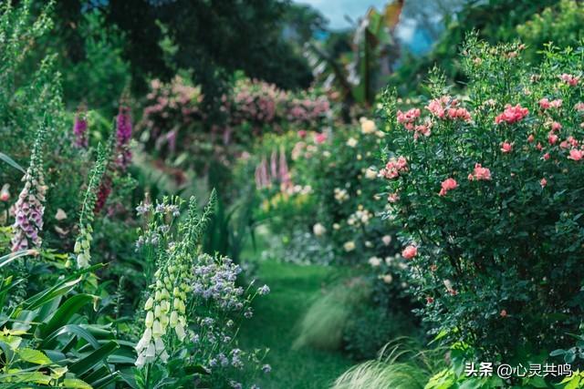 两性关系；不管你信不信，女人过54岁，都有如下7个症状	，要接受