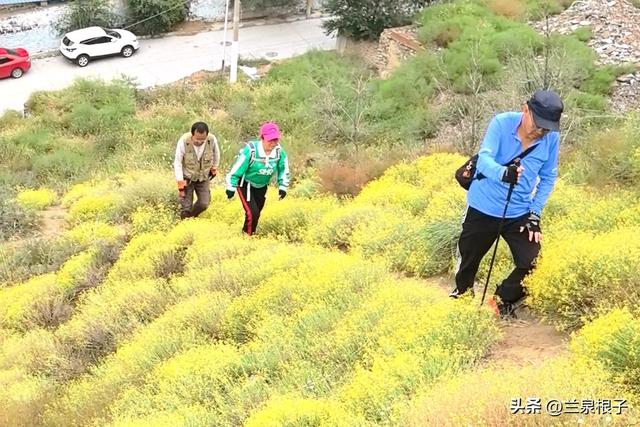 秋染兰州北山 一场用脚步丈量的秋日盛宴