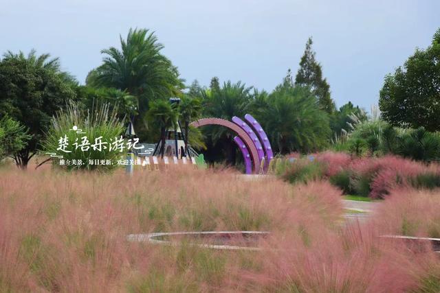 浙江宁波最受欢迎的粉黛园，其实没那么美，但周边的风景很值得游