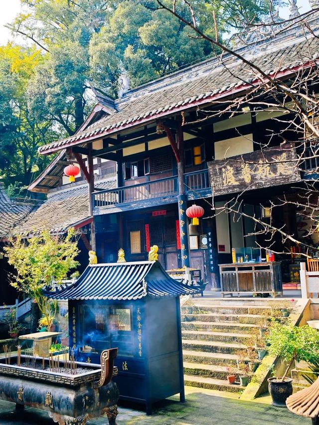 成都1h｜小众免费值得N刷的亲子徒步路线，开始捡秋啦！