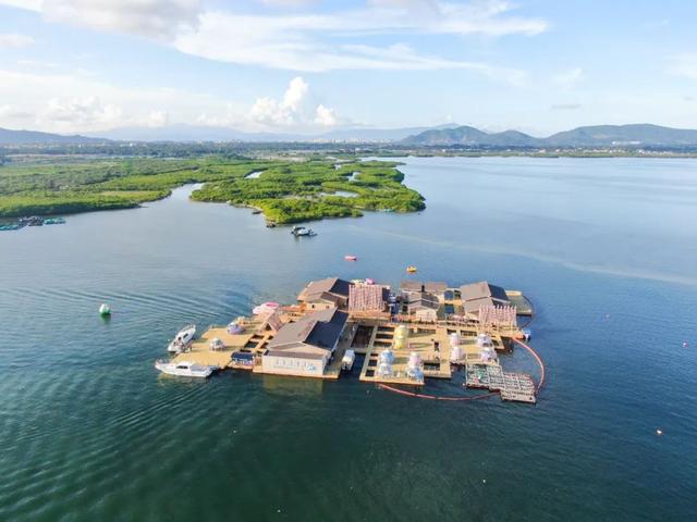 8月29日，亚洲小姐总决赛和陵水有约！佳丽同款打卡点→