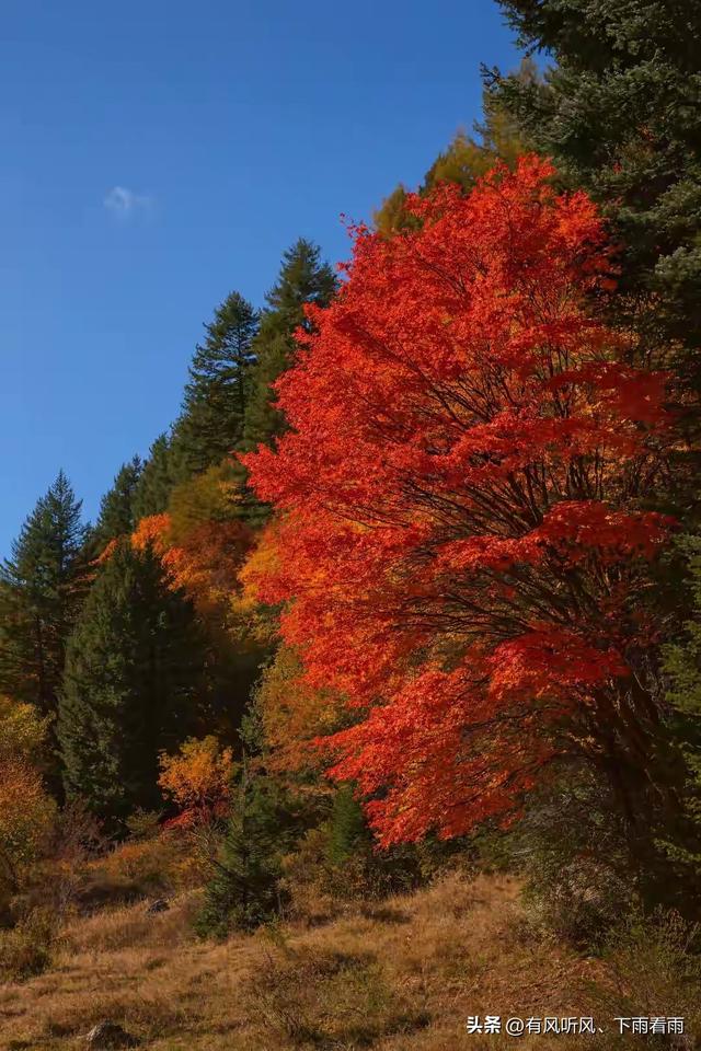 秋染山河