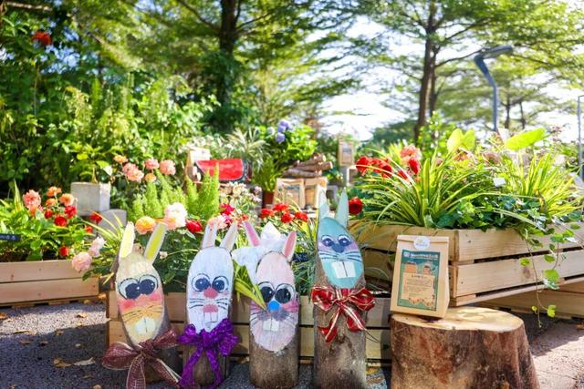 仅限2天！福田红树林公园邀您共赴！