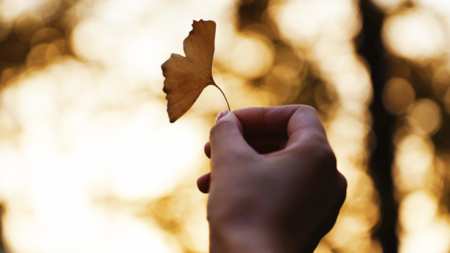 广饶初冬的仪式感来了！
