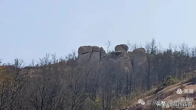 大罗山这条改造过的登山步道你可去过?