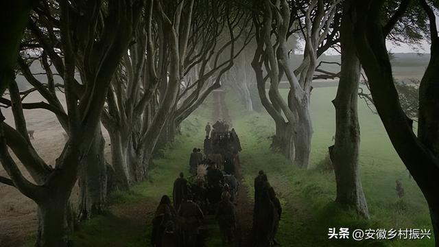 第一批抵达网红景点的游客，已被诈骗......
