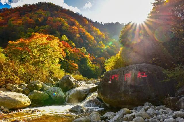 广元不远 周末优选 | 抢先剧透！接下来的唐家河，是这样的……