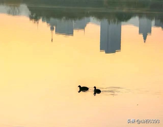 新华社原军事记者陶俊峰泉城美拍：《初冬大明湖晨曦美景》