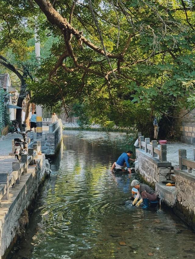 挤景点？太常规！本地人带你开启山东16城土著副本！