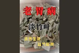 一把竹叶，一碗石膏，治好了困扰多年的老胃病！图片