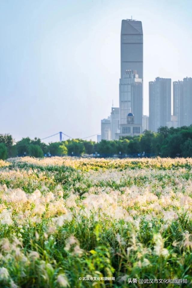 明天放晴！一口气3个好消息