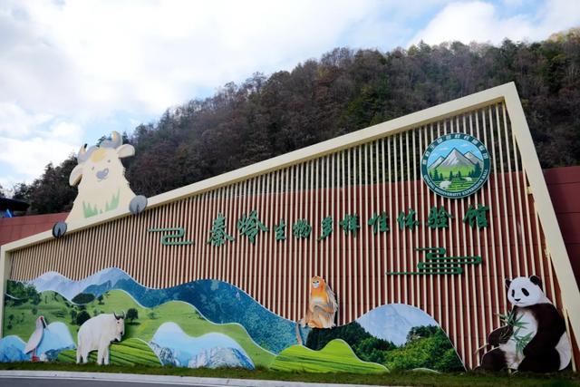 打卡新地标！来汉中这里，开启一场自然之旅~