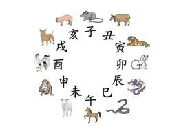 认识天干和地支图片