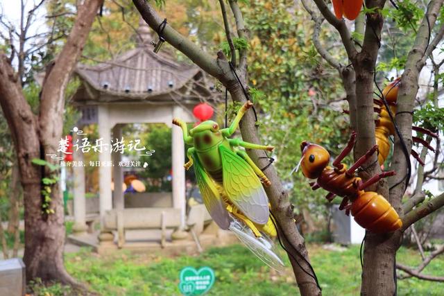 宁波慈溪的千年古村，古樟公园已经足够优美，昆虫乐园更加好玩