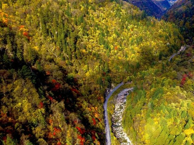 别再等！达古秋冬双景已上线，从彩林穿越到雪域