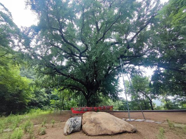 莱芜大舟院，曾经的繁华归于一片宁静中