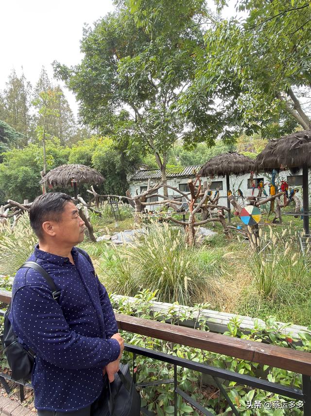 上海动物园的高颜值图鉴