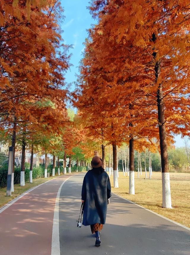 临沂「红杉」「红枫」浓度拉满，出片率100%