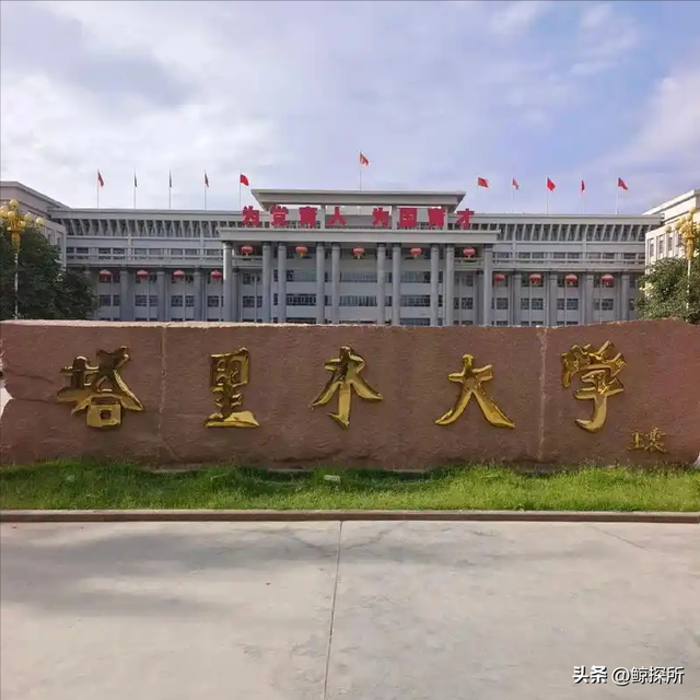 黑龙江女生被塔里木大学录取，崩溃大哭！看到原因后，实在没忍住