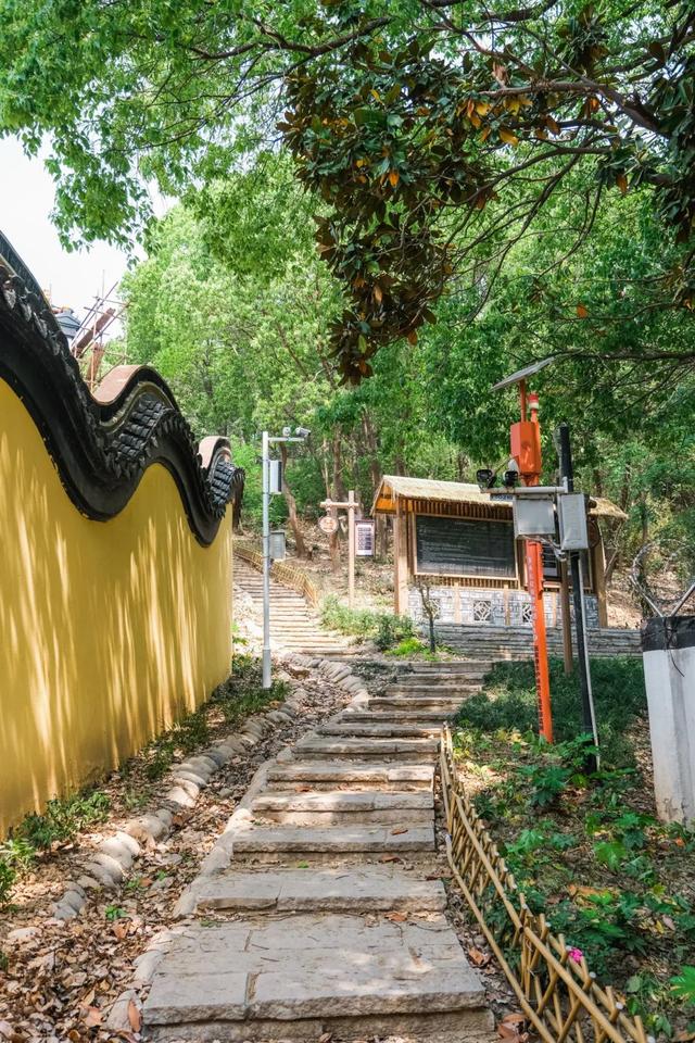 张家港很火的「线路」，后悔没早点去打卡