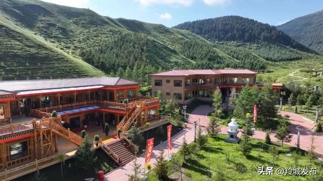 25℃的羚城牧歌！甘南合作，盛夏的云端避暑秘境