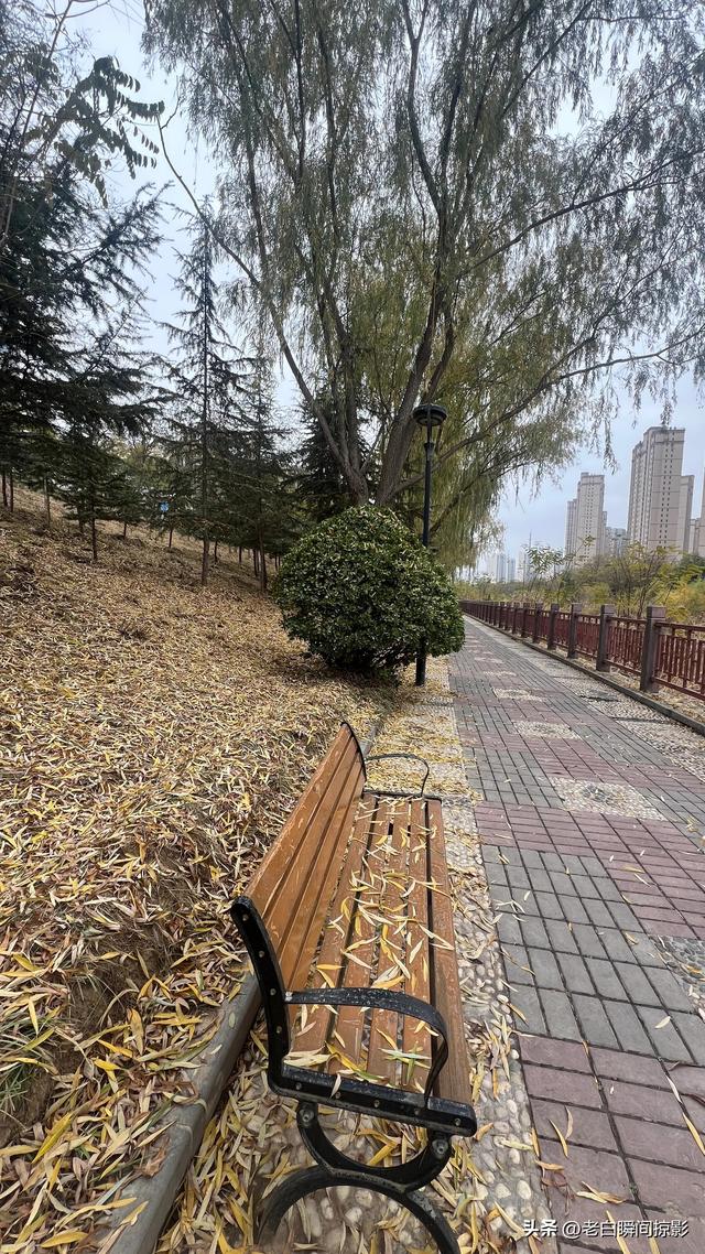 温柔缱绻的秋韵，兰州之美让季节变得更活泛了