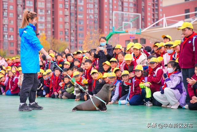 连续三年八项“金冠奖”加冕！郑州海昌海洋公园以标杆之姿诠释高质量文旅发展新路径