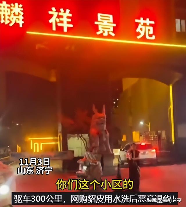 貂皮水洗退货后续：警方介入，宝妈身份被扒彻底社死 商家还有后手