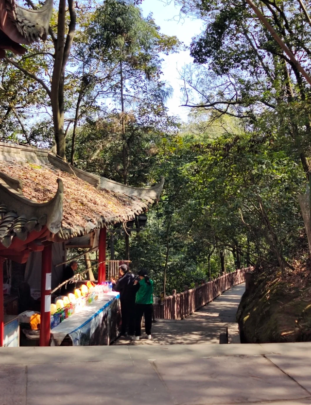 我升级高档团带妈妈旅游！最后她哭着说：给我金山银山也不来了！