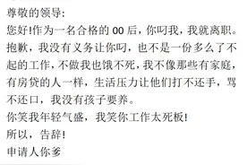 00后在体制内有多豪横，网友笑出了鹅叫声，整顿职场简直太勇了图片