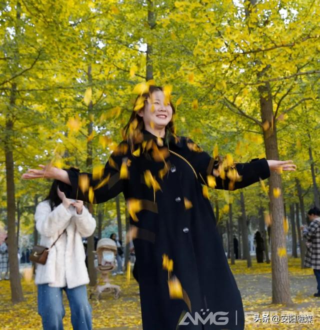 随手一拍都是大片!安阳深秋限定美景已上线→
