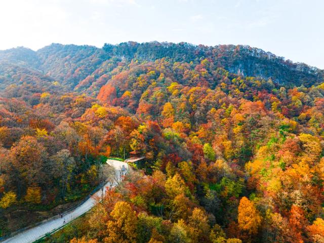叮!龙头山秋日余额已不足!期待新一轮的冬雪到来~