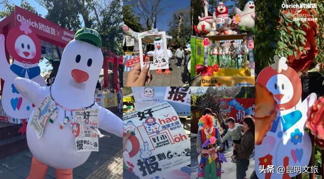 跟着滇超游昆明 | “鸥”然心动!打卡日记已备好,观鸥季精彩继续~