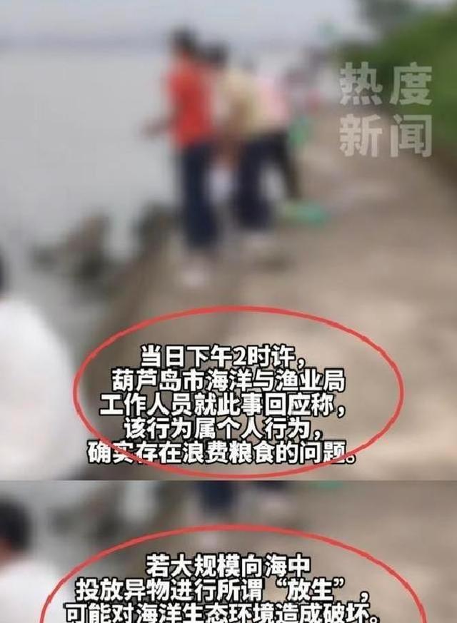 辽宁多人海边投放大米！一袋袋倒进海里，原因公布，渔业局回应