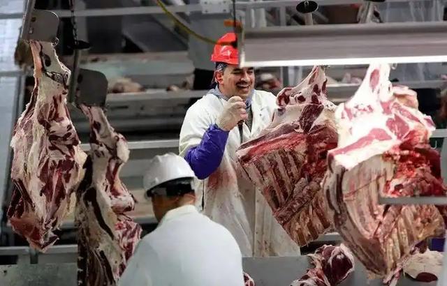特朗普呼吁降牛肉价遭拒!美牛存栏75年来最低,突显供应链危机