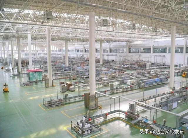 【乐游烟台】冷？不存在的！烟台这些“冬日快乐水”实测抗寒