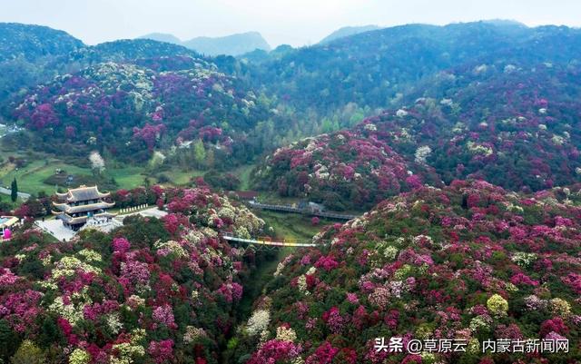 快出发！这些地方陆续美成仙境！